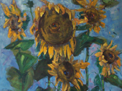 949-689-2047 Graham Forsythe sunflowers