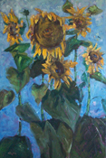 949-689-2047 Graham Forsythe sunflowers