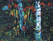 949-689-2047 Graham Forsythe contemporary landscape trees