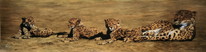 949-689-2047 cheetahs art