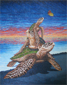 turtles Hawaii art 949-689-2047